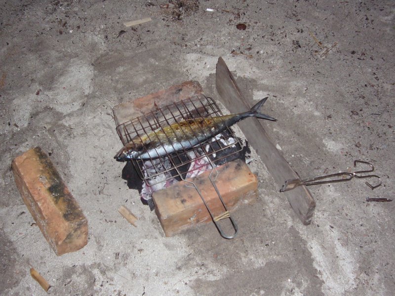 Fish barbeque